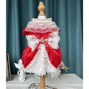 Vêtements pour chiens Pur coton Vêtements pour animaux de compagnie à la main Rétro Velours Dentelle Bow Princesse Robes pour petit moyen Chihuahua Caniche Chiot Tenues