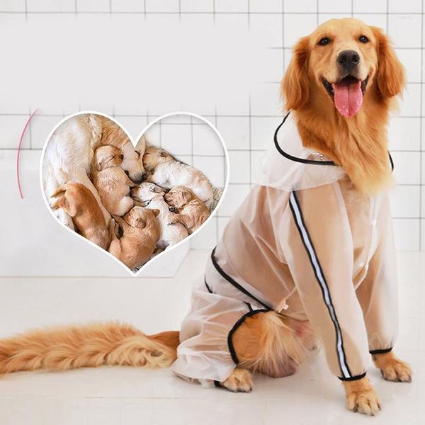 Ropa impermeable para perros, abrigo impermeable ligero transparente para perros, capa para mascotas, mono de peluche para gatos pequeños