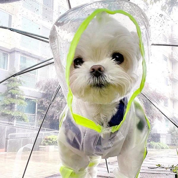 Reparada de perros Raincoat para color fluorescente Matte transparente Matte de cuatro patas Impermeables de ropa de mascotas con todo incluido