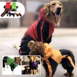 Vêtements pour chiens Imperméable Quatre saisons peuvent porter des fabricants Vente en gros directe Vêtements pour animaux de compagnie Grand chapeau à quatre pattes en vrac