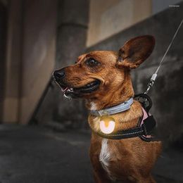 Ropa para perros Collar a prueba de lluvia Transmisión de doble cara impermeable USB recargable para la noche