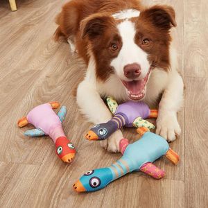 Hondenkleding willekeurige kleurvalue bundel speelgoed assortiment pluche piepende puppy puppy pet mudog speelgoed pieak fo fo