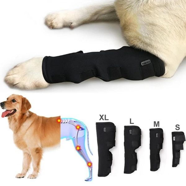 Vêtements de chien récupérer les jambes joint enveloppe de protection des fournitures de poignet