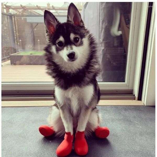 Vêtements de chien Rouge Noir Bleu Vert Chaussures de pluie pour animaux de compagnie Mode Bottes imperméables en plein air pour Teddy