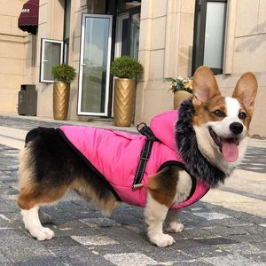 Hondenkleding reflecterende katoenen jas voor kleine honden