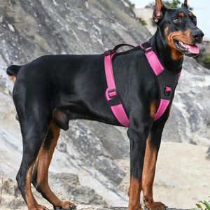 Vêtements pour chiens Les bretelles réfléchissantes pour animaux de compagnie améliorent la visibilité et la mode pour les chiens et les chats restent en sécurité lors des promenades en plein air la nuit