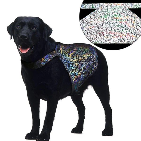 Vêtements pour animaux de compagnie réfléchissants pour chiens pour petits chiens chat coloré fluorescent de refroidissement ventre Tshirt Haute visibilité nocturne vêtements