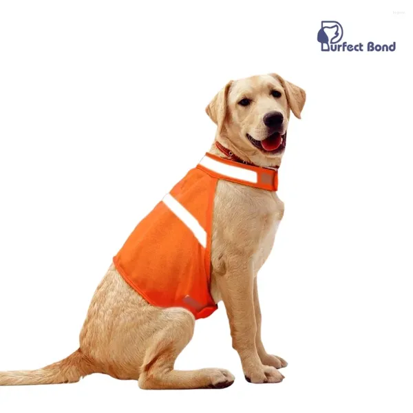 Vêtements de chien gilet réfléchissant pour la chasse haute visibilité orange vif sécurité veste réglable douce en plein air