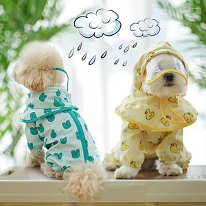 Hondenkleding Verwijderbare hoodie Tweede stuk set cartoonpatroon Waterdichte regenjas voor huisdierenaccessoires Cat kleding jumpsuitontwerper