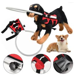 Vêtements pour chiens réutilisables en polyester, confortables à porter, cercle de protection de la tête aveugle, halos sûrs pour les voyages