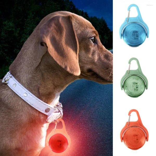 Vêtements pour chiens RVB LED à couleur changeante Collier lumineux 4 modes USB rechargeable Marche Rotation longue durée à 360 °