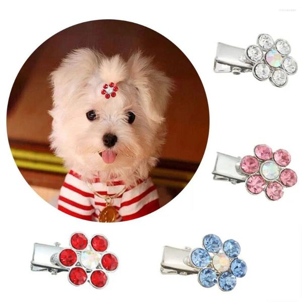 Habitant pour chiens Rhinestone Belle clips de cheveux de chat en métal.