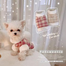 Vêtements pour chiens Famille riche Little Qianjin Manteau d'hiver Marquis Vêtements Robe pour animaux de compagnie épaissie