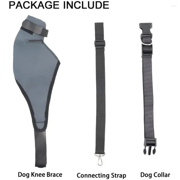 Vêtements pour chiens Jambes droites Protection de la jambe postopératoire Blessure au genou Équipement de protection pour animaux de compagnie Support Cadre Brace Dislocation de l'articulation