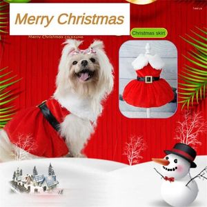 Robes de jeu de rôles de vêtements pour chiens bouillir l'image de l'atmosphère festive