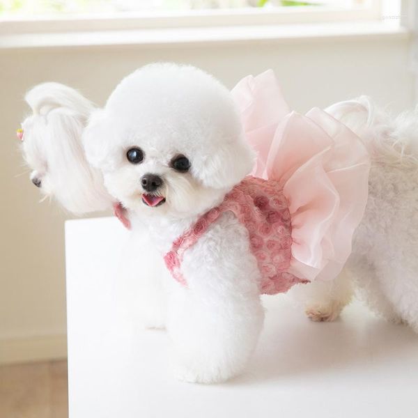 Ropa para perros Falda de hilo con bordado de rosas Gato para mascotas y ropa de moda de peluche