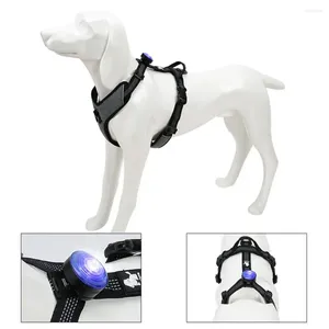 Hondenkleding Ronde Kraaglicht Waterproof Plastic Pet Veiligheid met muntcel Lange batterijduur Gloeiende hanger