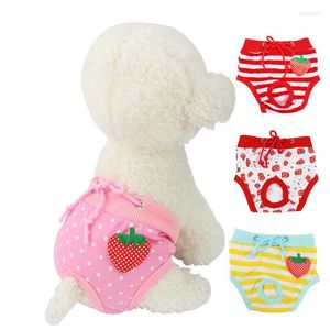 Chien vêtements vente mignon animal de compagnie chiot couche pantalon physiologique sanitaire court culotte sous-vêtement lavable fournitures animaux de compagnie