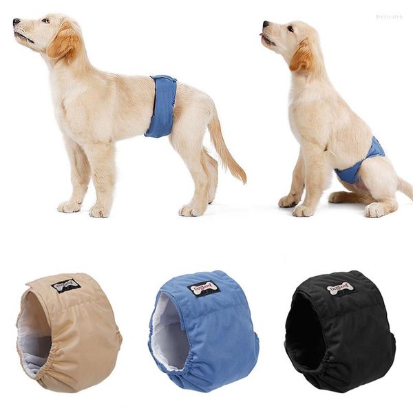 Vêtements de chien Shorts Sous-vêtements Ceinture physiologique masculine Teddy Golden Retriever Couche réutilisée Serrage F / Pantalon Hygiène pour animaux de compagnie Meilleure qualité