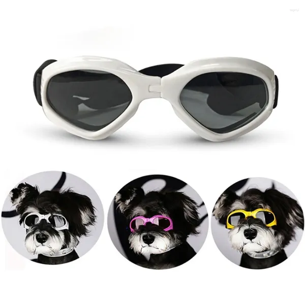 Vêtements de chien ski skigles animal pliable chat créatif chiens de protection des yeux de protection des yeux accessoires