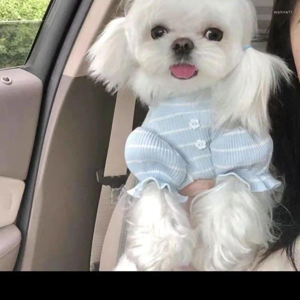 Vêtements pour chiens Sky Blue Stripe Pull en tricot Vêtements Kawaii Bouton de fleur Manches bouffantes Conception Petits vêtements Doux Articles pour animaux de compagnie maltais