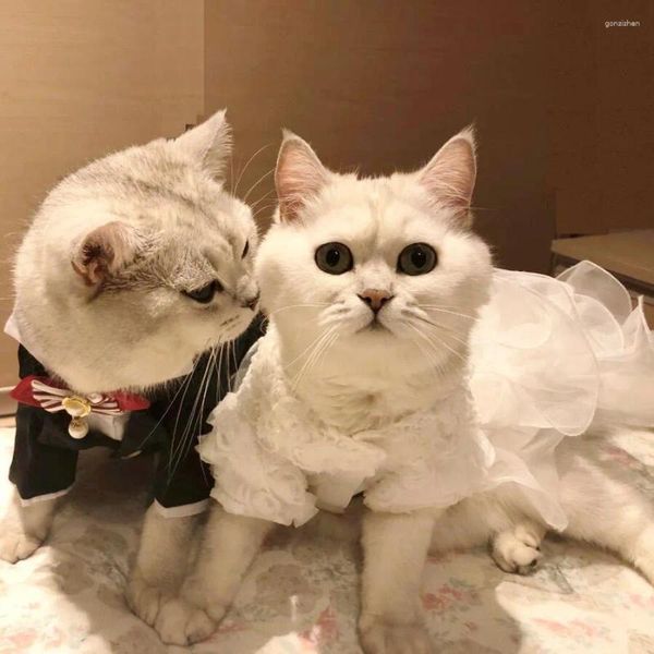 Vêtements pour chiens Petit chat Robes de mariée Princesse Jupe Vêtements pour animaux de compagnie Vêtements Tuxedo pour mariée marié