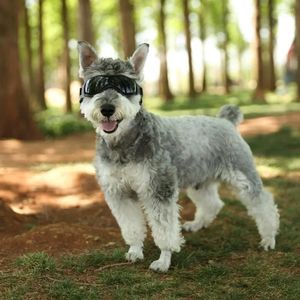 Vêtements pour chiens petits lunettes UV Protection réglable Clean Doggy Sungalses Easy Wear Troprooter Motorcycle Puppy Puppy Glasses
