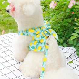 Vêtements pour chiens Petit harnais Laisse Pet Set Robe en tissu maille élégante avec pour chiens chats super