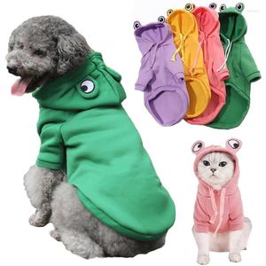 Hondenkleding kleine hoodies winter warme kleding kikker cosplay huisdier kostuum voor honden katten sweatshirt chihuahua Yorkies hoody jas