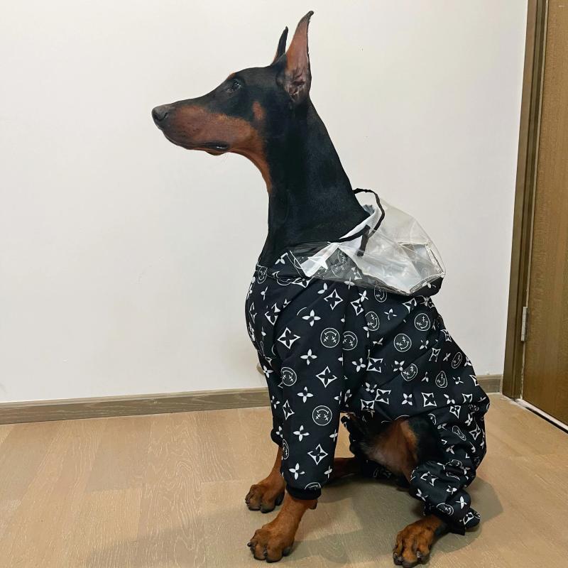 Hondenkleding Klein-groot Regenjas Vierpotige waterdichte jas Labrador Doberman Marinois Kleding Huisdierenkostuum Hondenaccessoires