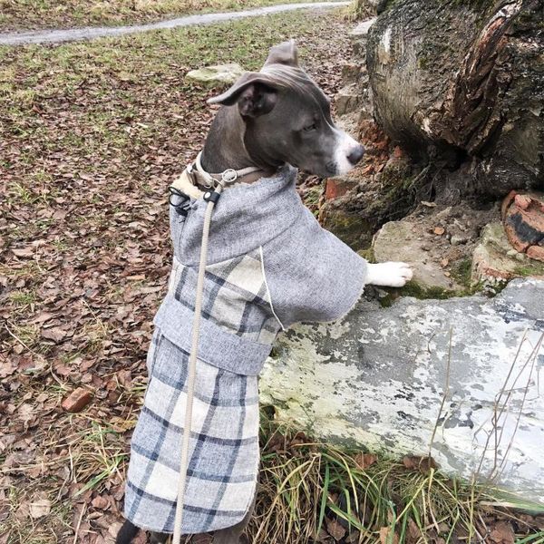 Vêtements pour chiens petits-moyens vêtements d'hiver résistant au froid épaissir manteau Whippet Greyhound chiens accessoires Designer animal de compagnie