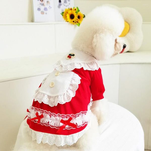 Ropa para perros Pequeño princesa vestido otoño invierno gato moda diseñador ropa mascota linda falda cachorro dulce camisa chihuahua pomeranian caniche