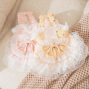 Chien Vêtements Petite Princesse Robe Pet Vêtements Automne Hiver Laine À Carreaux Jupe Chat Douce Dentelle Gilet Chiot Bowknot Manteau Chihuahua Yorkshire