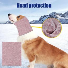 Vêtements pour chiens Snood élastique garder au chaud multifonctionnel cou et oreilles plus chaud fournitures pour animaux de compagnie