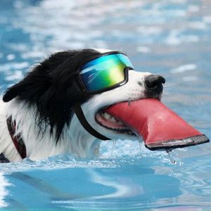 Gafas a prueba de nieve de ropa para perros Protección UV para perros de raza pequeña a media