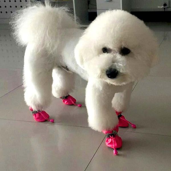 Vêtements pour chiens chaussettes chaussures pluie imperméable chaussons chaussettes soins anti-dérapant pour petits chiots chaussures printemps accessoires