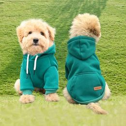 Vêtements pour chiens vêtements molle animaux à vendre vêtements chauds chiens enrober la tenue chiot à capuche à hoodies chihuahua
