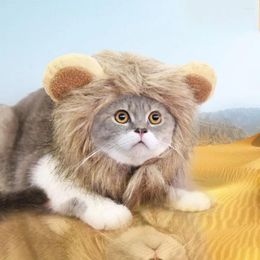 Vêtements de chien soft lion mane perruque chapeau créatif fibres acryliques respirantes chat violet / brun animal de compagnie Noël