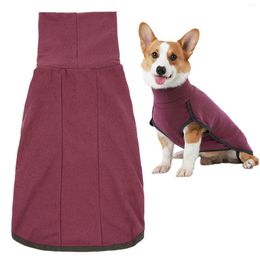 Vêtements pour chiens solide solide Easy Wear undoor extérieur maintient le cavalier chaud cadeau de gilet respirant coix de animaux de compagnie élastique haut collier automne hiver