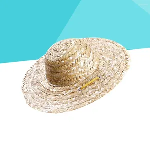 Appareils pour chiens Sombrero Hat - Summer Sun Protection chapeau réglable Hawaii Garden Bucket Bucket Page pour chiot petit chiens chats (mexicain