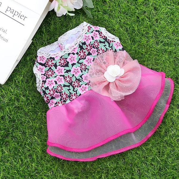 Vêtements pour chiens printemps et été animaux de compagnie chats chiens jupe Style coréen petite taille moyenne robe florale Simple chiot Up vêtements