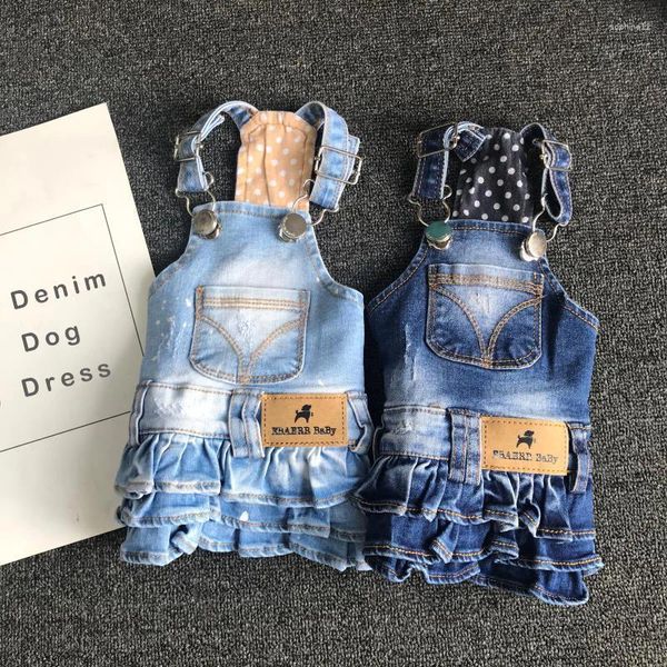 Ropa para perros ropa de primavera jeans vestimenta de jeans chaqueta chaqueta de niña