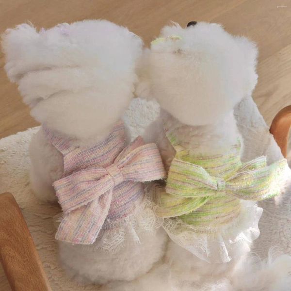 Vêtements pour chiens de printemps vêtements de chiot lavande turquoise bowknot jupe sost élégant suspense mignon animal de compagnie