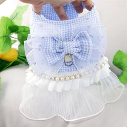 Vêtements pour chiens printemps été vêtements pour animaux de compagnie chaton chiot jupe en maille mignonne petite et moyenne taille robe de princesse Chihuahua Yorkshire