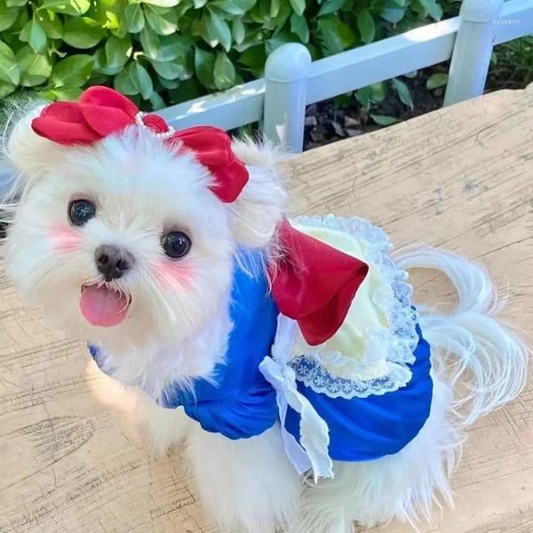 Ropa para perros Primavera Verano Falda Hermoso Melocotón para mascotas Princesa Estilo Cachorro Encaje Cumpleaños Celebrar Vestido Ropa bonita