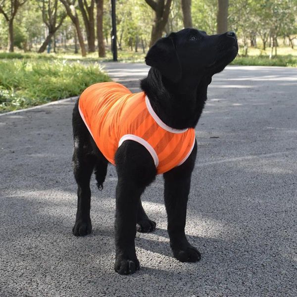 Ropa de perro chaleco de verano ropa de secado rápido para mascotas reutilizables para pequeños perros medianos grandes vestidos al aire libre