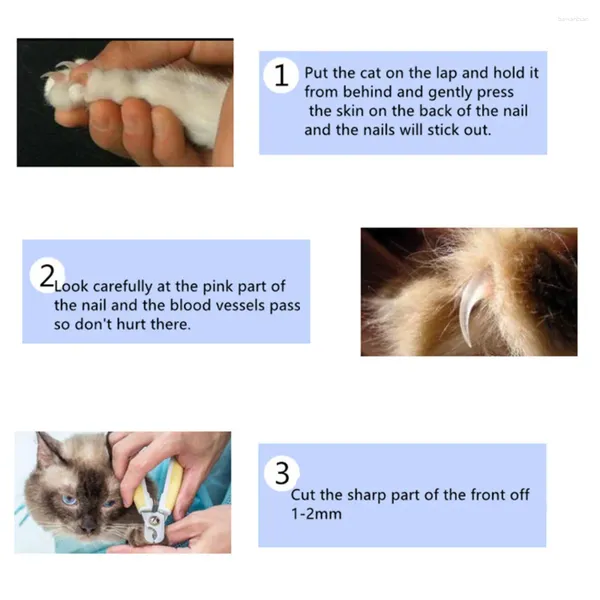 Vêtements de chien en acier lime à ongles ciseaux de toilettage pour animaux de compagnie fournitures de chat tondeuses accessoires ensemble pour