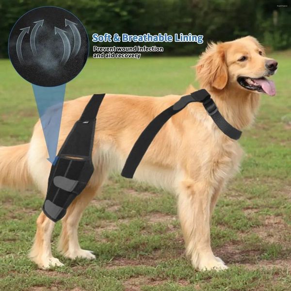 Sangles de soutien des jambes pour vêtements de chien, accessoires de ceinture, attelle réglable, genouillères pour animaux de compagnie, genouillères de récupération pour chiot S, blessure de récupération