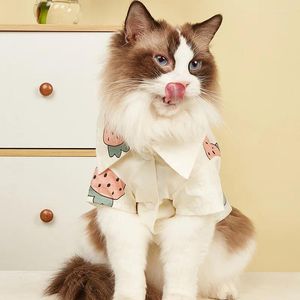 Vêtements pour chiens Strawberry Cat chaton bouton-bouton