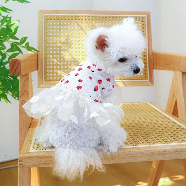 Vêtements pour chiens Robe à motif de fraises Blanc Vêtements pour animaux de compagnie Été Princesse Filles Bal sans manches Chiot Chat Sweats à capuche Jupe